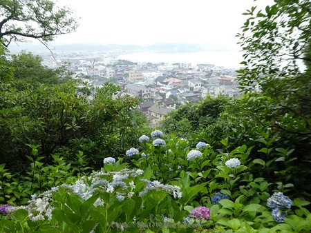 170628-鎌倉 長谷観音 (68)