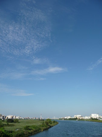 090816-六郷の渡し (20)