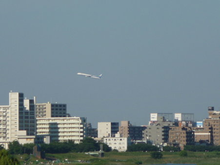 090816-六郷の渡し (21)
