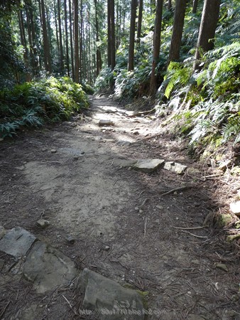 160325-熊野古道 小辺路 (50)