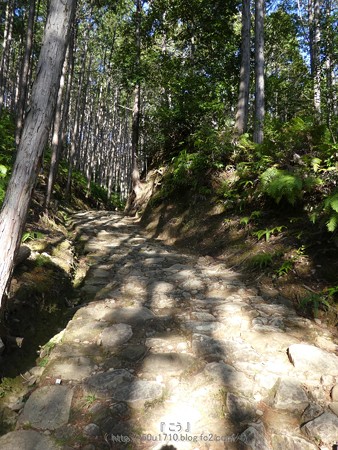 160325-熊野古道 小辺路 (57)