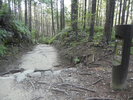 160325-熊野古道 小辺路 (28)