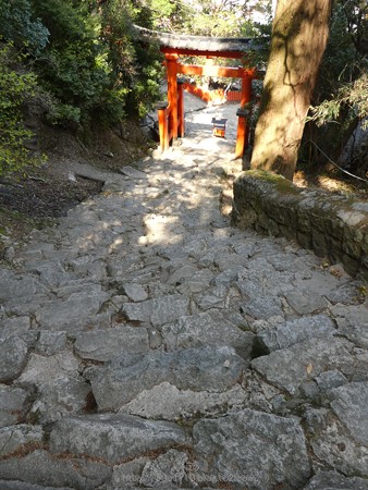 160324-神倉神社 (5)