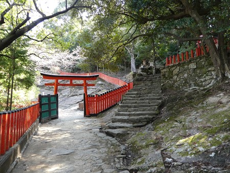 160324-神倉神社 (20)