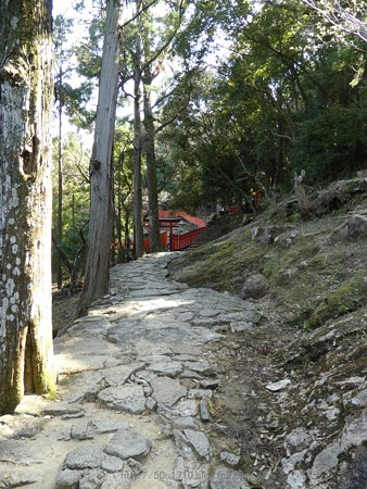160324-神倉神社 (35)