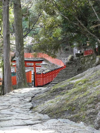 160324-神倉神社 (36)
