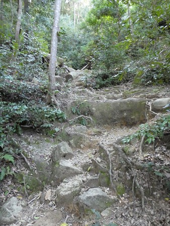 160324-神倉神社 (46)