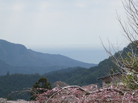 160324-熊野那智大社 熊野古道 (3)