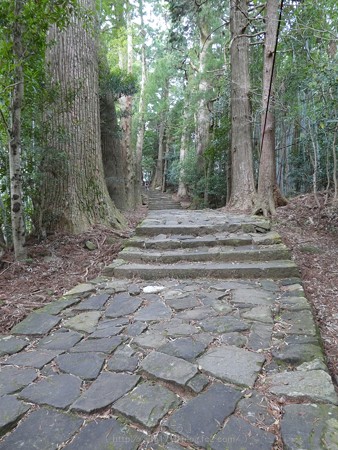 160324-熊野古道 大門坂 (46)