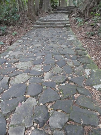 160324-熊野古道 大門坂 (56)