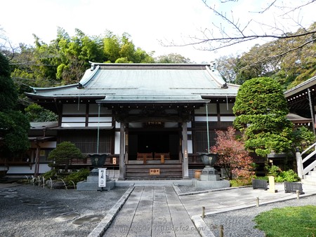 171113-報国寺 (13)