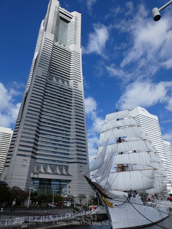171112-日本丸 (11)