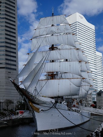 171112-日本丸 (13)