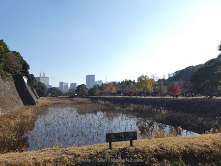 171207-皇居 (63)