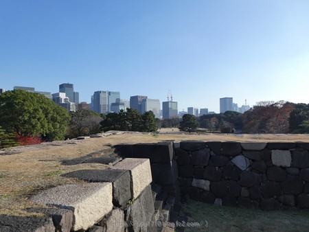 171207-皇居 (90)