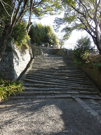 180110-久能山東照宮 (57)