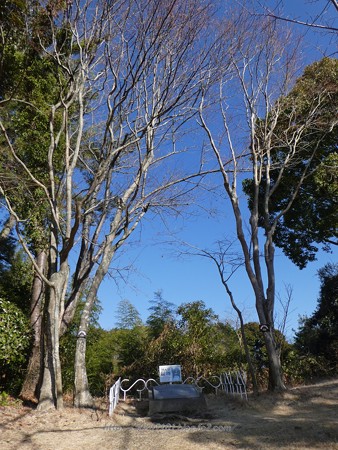 180110-日本平ホテル (31)
