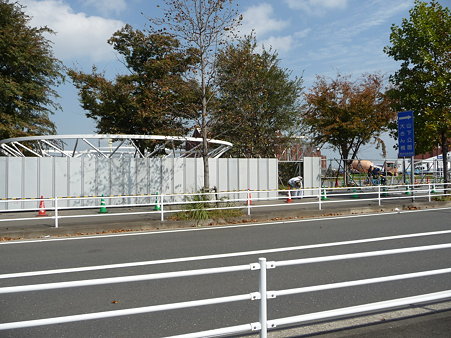 091019-Y150 はじまりの森 跡 (1)
