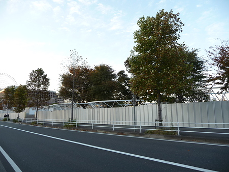 091019-Y150 はじまりの森 跡 (9)