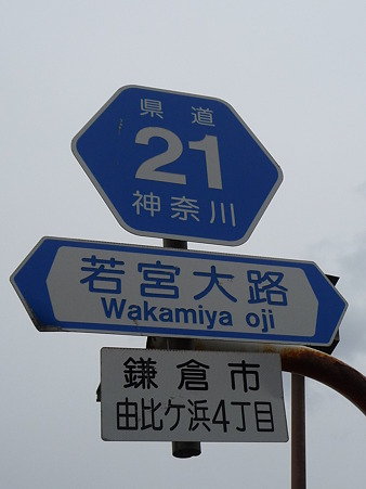 110115-若宮大路 (2)