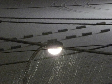 120211-雪降ってきた-2 (4)