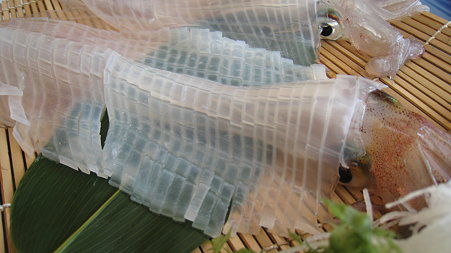ika2