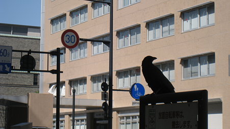 karasu