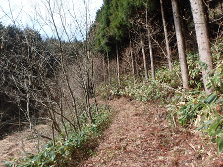 P4160004