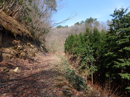 P4160008