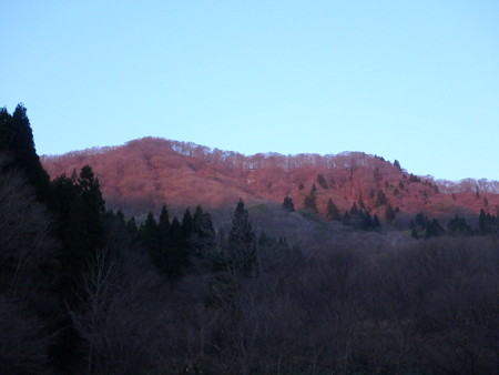 P4230136