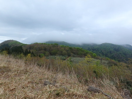 P5050010
