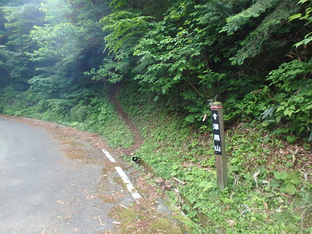 P6030254