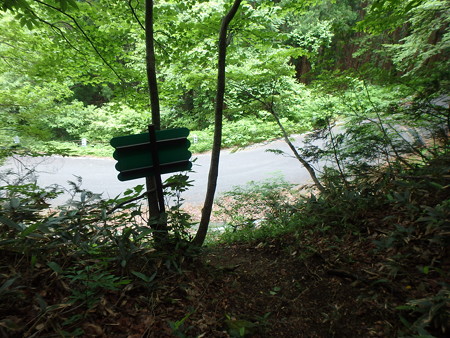 P6030282