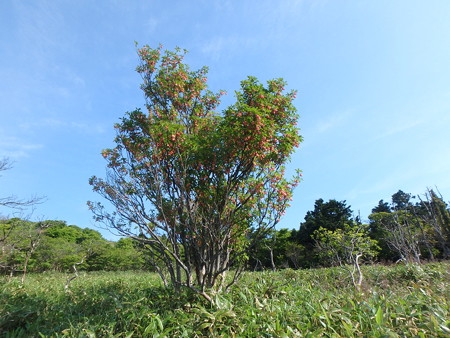 P6100025