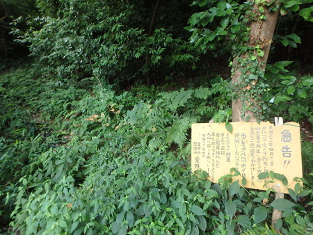 P7300164