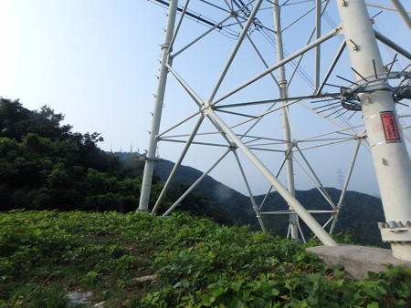 P7300167