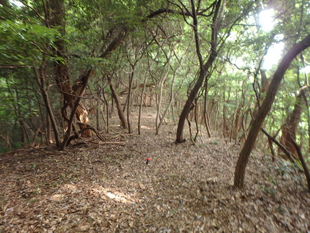 P7300175