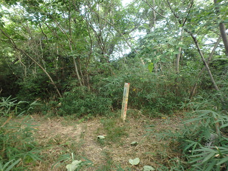 P7300176