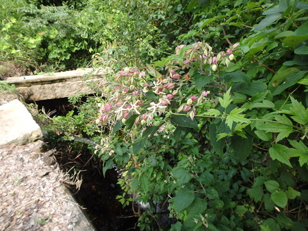 P7300180