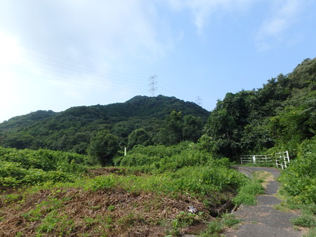 P7300181