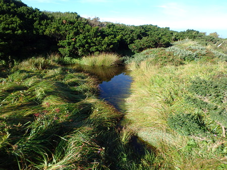 P9090032