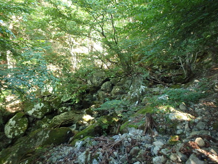 P9240003