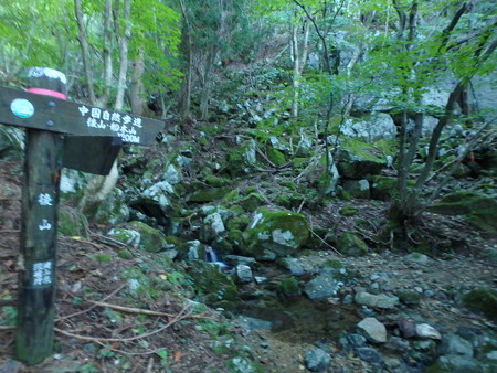P9240006