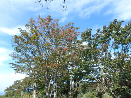 P9240027