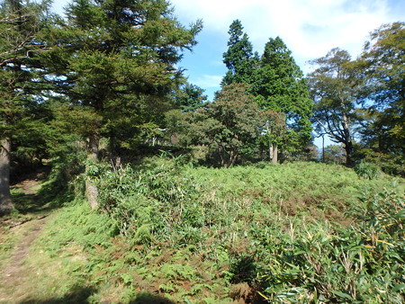 P9240029