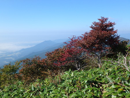 P9260049