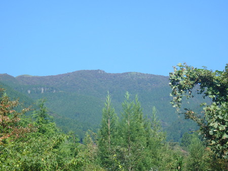 P9260061