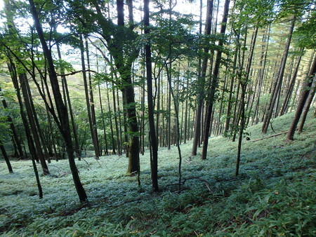 P9290014