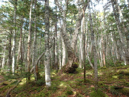 P9290038