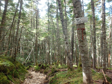 P9290050